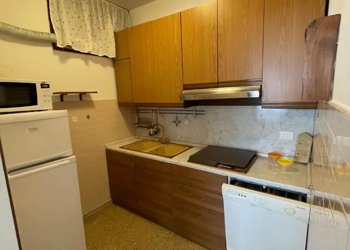 Vania ביביונה